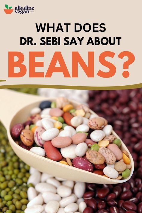 Beans Dr Sebi Nutritional Guide, Lentils Nutrition, Dr Sebi Herbs, Dr Sebi Diet, Dr Sebi Recipes Alkaline Diet, Dr Sebi Alkaline, Body Dr, Dr Sebi Alkaline Food, Dr Sebi Recipes