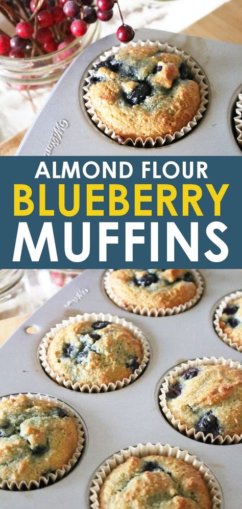 Flourless Blueberry Muffins, Almond And Coconut Flour Muffins, Almond Flour Blueberry Cake, Gluten Free Blueberry Muffins Almond Flour, Healthy Muffin Recipes Almond Flour, Recipes Using Almond Flour Baking, Healthy Gf Blueberry Muffins, Recipes That Use Almond Flour, Recipes With Almond Meal