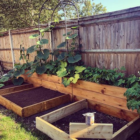 Raised Bed Vegetable Garden Layout, Backyard Raised Garden, Gardening Tattoo, Garden Bed Layout, Garden Layout Vegetable, Allotment Gardening, Garden Area, Veg Garden, Vegetable Garden Design