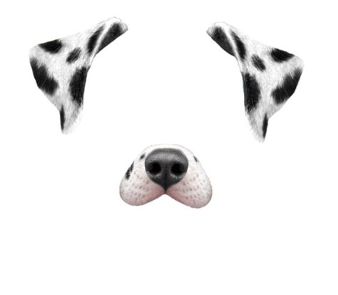 Dalmatian filter transparent overlay Face Filter Png, Dog Filter Snapchat, Face Overlay Cute, Kawaii Overlay, Filter Overlay, Cute Overlays, Snapchat Dog Filter, Face Overlay, Dog Filter