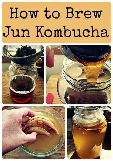 jun collage Jun Kombucha, Fermenting Foods, Fermented Drinks, Kombucha Scoby, How To Brew Kombucha, Homemade Kombucha, Kombucha Recipe, Probiotic Drinks, Water Kefir