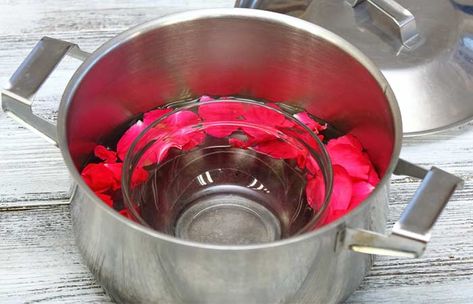 DIY Rose Water - Distilling Method Rose Water Cocktails, Uses For Rose Water, Make Rose Water, Making Rose Water, Homemade Rose Water, Rose Water Diy, How To Make Rose, Rose Recipes, Body Wellness