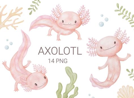 Watercolor Axolotl Clipart Nursery Decor for Boys and Girls - Etsy Estonia Axolotl Watercolor, Axolotl Clipart, Axolotl Illustration, Cute Animals Illustration, Elizabeth Grace, Animals Illustration, Baby Wall, Cute Animal Illustration, Baby Shower Invitaciones