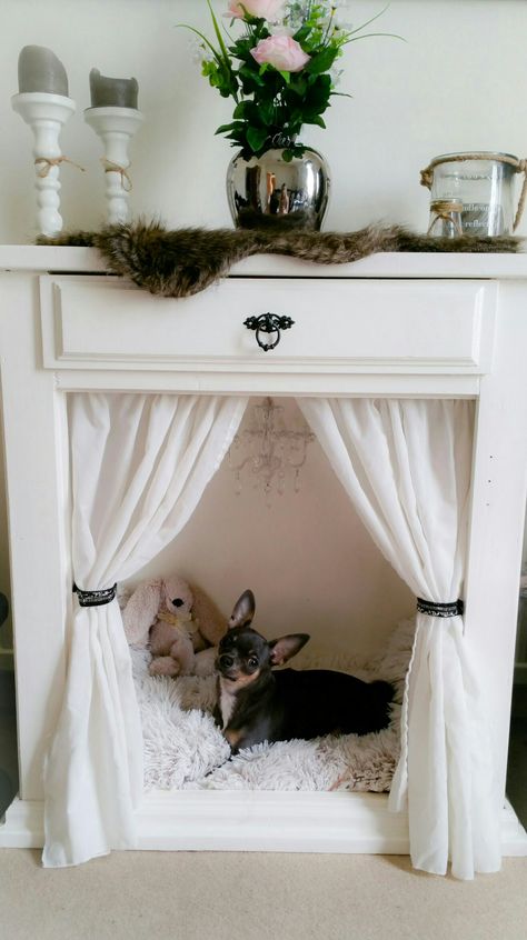 Small Dog Bed Diy, Home Made Dog Beds Diy, Pet Living Room, Dog Hideout, Cat And Dog Furniture, Diy Dog House Indoor Easy, Cat Bed In Bedroom, Small Dog Bed Ideas, Pet Bed Diy