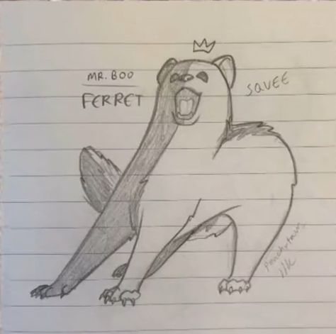 A Ferret, Ferret