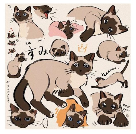 Doodles For Friends, Cat Doodles, Cat Doodle, Cat Sketch, Arte Van Gogh, Cat Pose, For My Friend, Warrior Cat, Dessin Adorable