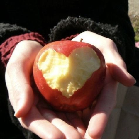 Rotten Apple, Apple Aesthetic, Apple Seeds, Apple Bottoms, Red Apple, Apple Pie, Fruit, Kawaii