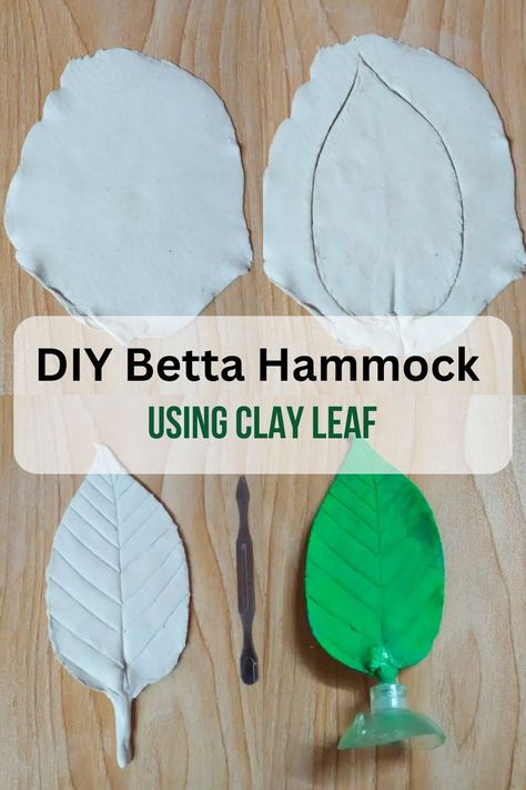 DIY Betta Hammock Using Clay Betta Hammock, Betta Care, Aesthetic Project, Betta Fish Care, Floating Platform, Betta Tank, Betta Fish Tank, Fish Care, Simple Diy