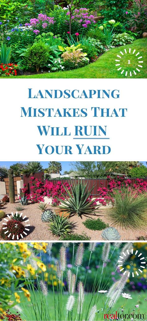 Relandscaping Front Yards, Large Area Landscape Ideas, Front Yard Burm Landscaping Ideas, Front Yard Low Water Landscape, Lawnscaping Front Yard, Small Front Yard Inspiration, Yard Focal Point Ideas, Large Area Landscaping Ideas, Center Yard Landscaping Ideas