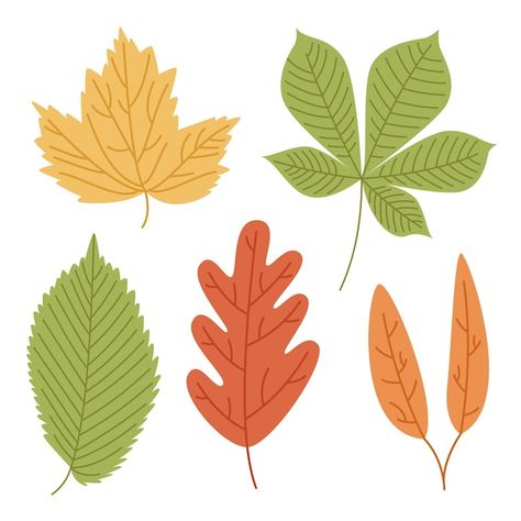 Creepers Plants, Leaves Doodle, Watercolor Autumn Leaves, Plant Logos, Plant Vector, Hand Drawn Vector Illustrations, Tropical Wallpaper, Leaves Vector, Wedding Leaves