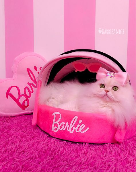 Barbie Supplies, Barbie Cat, Pink Bar Stools, Cute Monkey Pictures, Animal Chair, Bling Bottles, Kitten Wallpaper, Wonderland Artwork, Dog Mommy