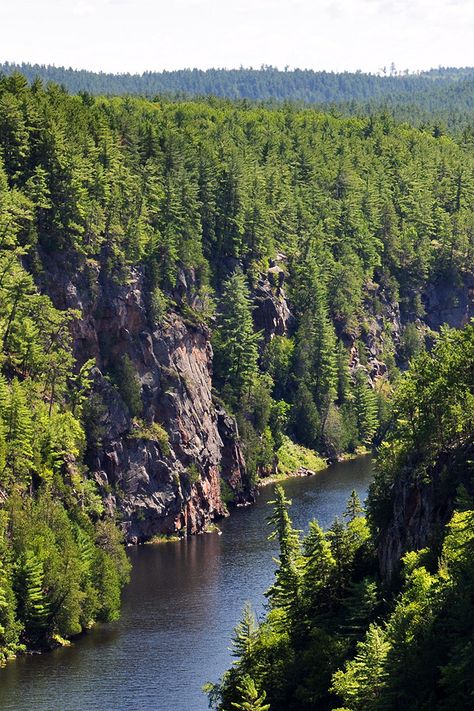 Hiking the Barron Canyon Trail in Algonquin Park - Ontario #Toronto #Traveltips #travelideas #travel #outdoors #naturelovers #nature #adventure Ontario Camping, Ontario Summer, Ontario Road Trip, Ontario Parks, Ontario Travel, Algonquin Park, Beautiful Canada, River Trip, Kayak Camping