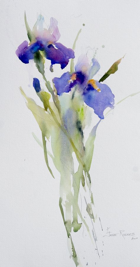 Janet Rogers irises Iris Painting, Watercolor Pictures, Watercolour Inspiration, Hur Man Målar, Watercolor Flower Art, Watercolor Logo, 수채화 그림, Watercolor Flowers Paintings, Watercolor Inspiration