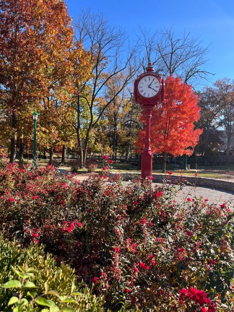 iu bloomington in the fall Iu Bloomington Aesthetic, Seoul Autumn Aesthetic, South Korea Fall, Iu Album Aesthetic, Iu Aesthetic Hotel Del Luna, Indiana University Bloomington, Indiana University, Dream College, Life Plan