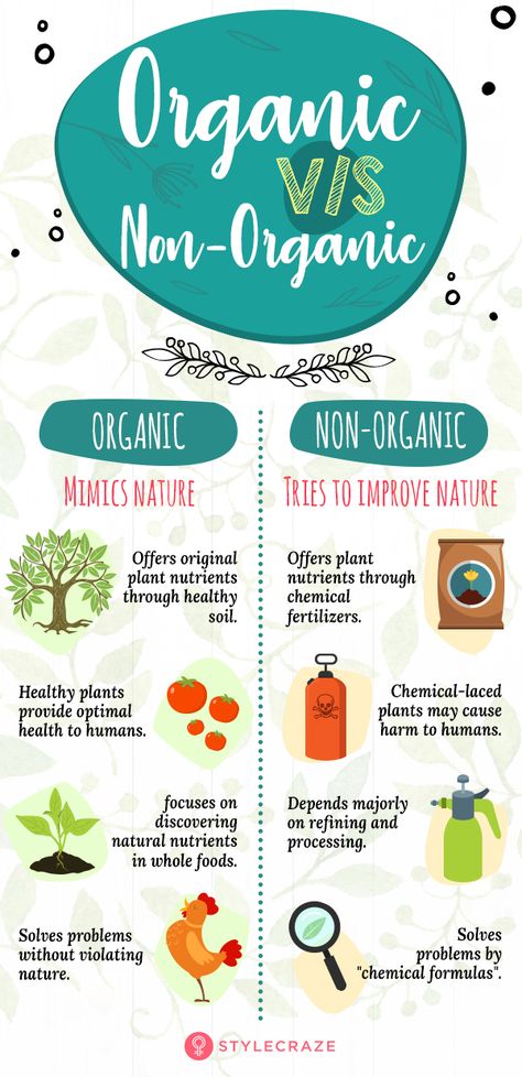 Organic Food: 7 Scientifically-Proven Reasons To Include It In Your Diet Sustainable Food Systems, Benefits Of Organic Food, Organic Pesticide, Organic Recipes Healthy, Plant Nutrients, Organic Foods, Food Additives, Natural Health Tips, Food Science