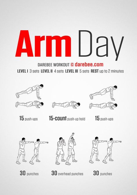 Arm Day Workout #NoEquipmentArmWorkouts Arm Workout No Equipment, Arm Workout Men, Upper Body Hiit Workouts, Arm Day Workout, Upper Body Workout Routine, Upper Body Workout For Women, Arm Training, Home Workout Men, Arm Workouts At Home