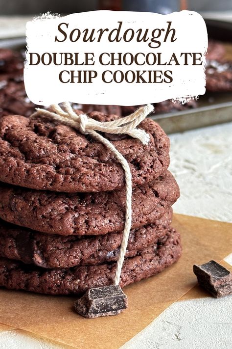 These sourdough discard chocolate cookies have a chocolate dough which is augmented by rich dark chocolate chips. They are a decadent chocolate cookie that are done the same day. These easy sourdough discard cookies are sure to be a favorite and finished with flaky sea salt. Chocolate lovers are sure to love this quick sourdough dessert recipe for any occasion. If you are bored of regular chocolate chip cookies, these sourdough double chocolate cookies are for you. Sourdough Double Chocolate Cookies, Espresso Chocolate Chip Sourdough, Sourdough Discard Brownies Healthy, Easy Sourdough Discard Chocolate Chip Cookies, Sour Dough Chocolate Cookies, Discard Cookies Recipes, Sourdough Discard Choc Chip Cookies, Sourdough Chocolate Chip Cookies Recipe, Chocolate Sourdough Discard Recipes