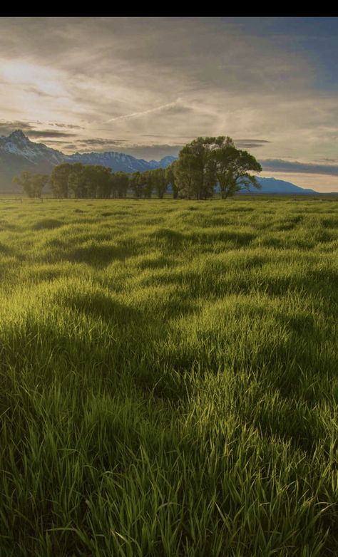 Sunset over the Grand Teton Range. #nationalparks #wyoming #grandtetonnationalpark #grandtetonnationalpark #usatravel #usaroadtrip #america #nature #grasslands #natureaesthetic Grasslands Aesthetic, Fantasy Grasslands, Grassland Aesthetic, Wyoming Aesthetic, America Nature, Grass Land, American Nature, Different Types Of Aesthetics, Plains Landscape