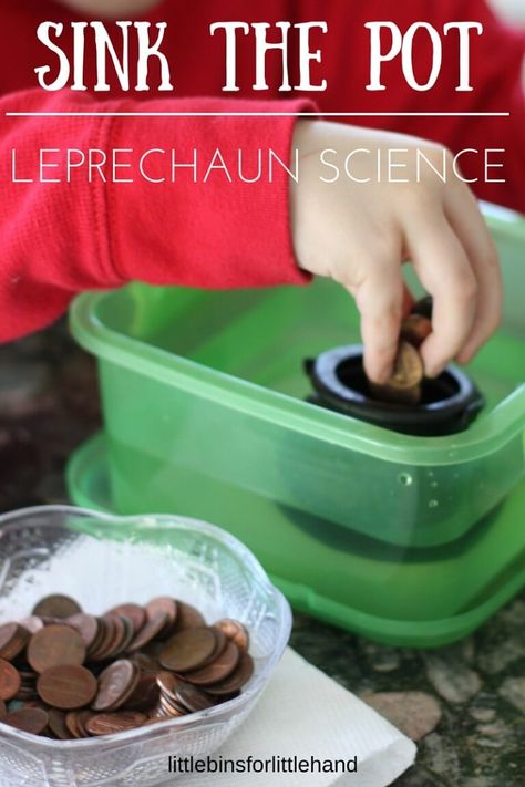 St Patrick's Day Sink or Float Experiment - Little Bins for Little Hands Sink Or Float Experiment, March Lesson Plans, Sant Patrick, March Lessons, Lucky Leprechaun, Sink Or Float, March Themes, St Patricks Day Crafts For Kids, March Activities