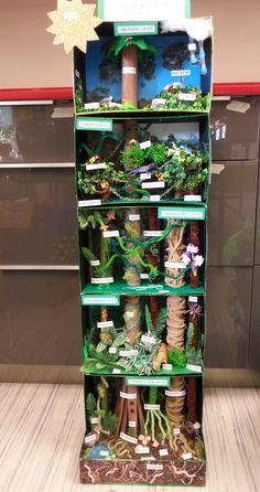 Biomes Classroom Display, Amazon Rainforest Activities, Rainforest Diorama Ideas, Rainforest Habitat Projects For Kids, Forest Crafts For Kids, Rainforest Diorama, Pokémon Christmas, Plant Presentation, Rainforest Crafts