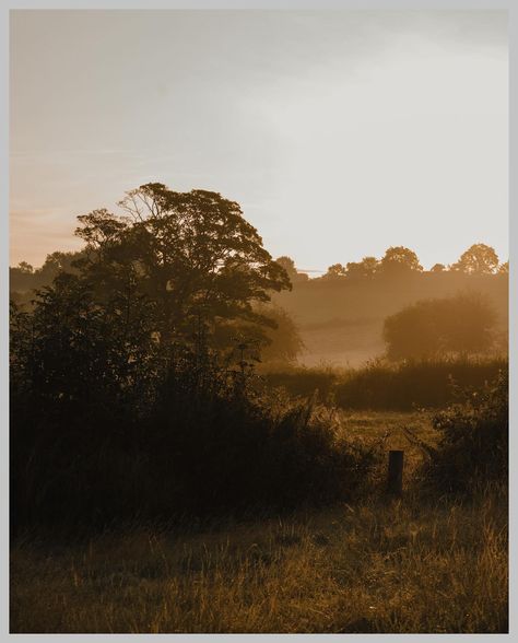 Missing autumn in the countryside 🍂🍁 #englishcountryside #countryside #england #countrysidewalk #countrysidewalks #britishcountryside #goldenhourlight #autumnvibes #autumnmood #cottagecore #bbccountryfile Cottagecore Autumn, Uk Countryside, British Countryside, Amazing Views, English Countryside, Earthy Tones, Fall Vibes, Golden Hour, England