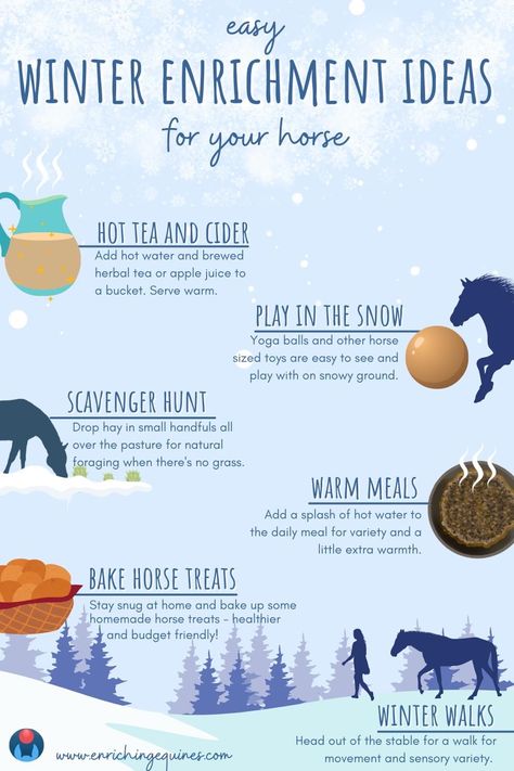 Horse Enrichment, Homemade Horse Treats, Horse Barn Ideas Stables, Paddock Paradise, Horse Food, Horse Shelter, Winter Horse, Horse Care Tips, Horse Info