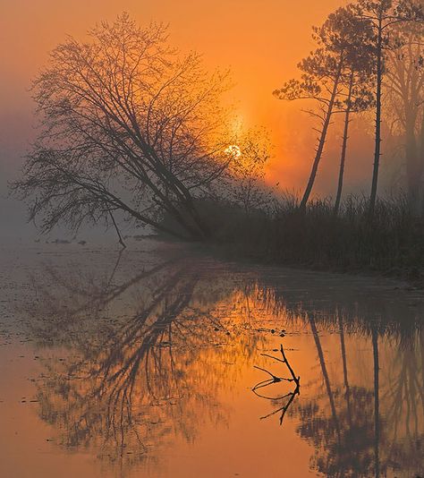 https://flic.kr/p/EBW4M | Foggy Sunrise | The sun rising over foggy Sucker Lake near my former home in Shoreview, MN  To purchase prints or view my full image collection, check out my Explore The Light Photography website. Foggy Sunrise, Mind Blowing Images, King Ghidorah, Sunrise Lake, Sunrise Landscape, Sun Rising, Nice Photos, California Sunset, Best Sunset