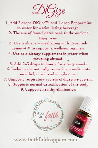 Digize Essential Oil Young Living, Digize Essential Oil, Young Living Oils Recipes, Living Oils Recipes, Roller Blends, Essential Oil Remedy, Young Living Essential Oils Recipes, Yl Oils, Essential Oils Cleaning