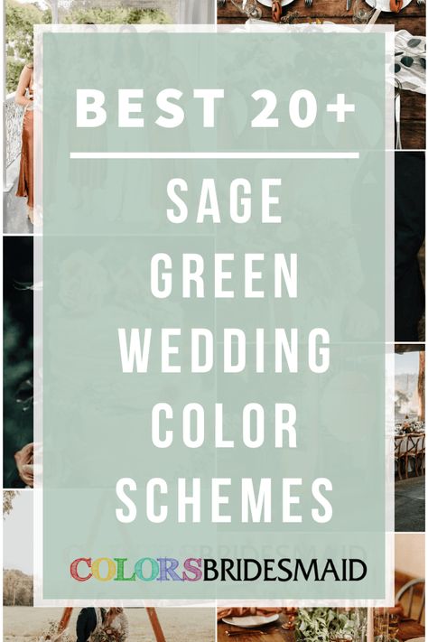 Top 40+ Wedding Colors for All Seasons and Colors - ColorsBridesmaid Mismatched Sage Green Bridesmaid Dresses, Orange Green Wedding Colors, Sage Green Groom Suit, Sage And Coral Wedding, Sage Green And Sunflower Wedding, Navy Blue And Sage Green Wedding, Sage Green And Yellow Wedding, Olive Green Wedding Ideas, Sage And Gold Wedding