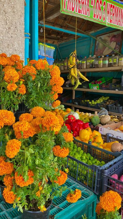 Mexican Candy Aesthetic, Mexican Vibes Aesthetic, Spanish Vibes Aesthetic, Mexican Cottagecore, Mexican Asethic, Mexican Culture Aesthetic, Mexicana Aesthetic, Mexican Aesthetic, Mexican American Culture