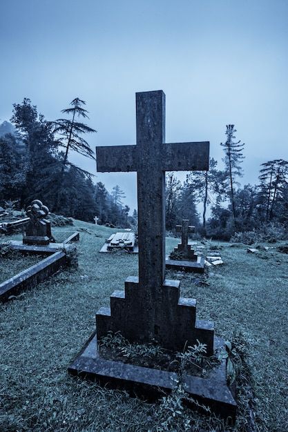 Cemitério assustador de halloween no nev... | Premium Photo #Freepik #photo #morte #horror #enterro #ruinas Cemetary Aesthetic Wallpaper, Cemetery Lockscreen, Grave Aestethic Dark, Dark Cemetery Aesthetic, Dark Cemetary Aesthetic, Cute Owls Wallpaper, Owl Wallpaper, Profile Pictures Instagram, Cute Owl