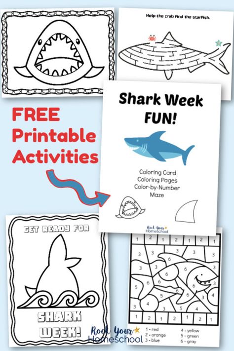 Have Shark Week Fun with all ages using these free printable activities! Includes coloring pages, card, maze, & color by number. Get your free instant download (click & print) today! #sharkweekfun #sharkweekprintables #freesharkweekprintables #freesharkprintables #freesharkactivities Shark Week Decorations, Shark Activities For Kids, Shark Week Activities, Clark The Shark, Shark Printables, Shark Activities, Childcare Ideas, Leopard Shark, Shark Themed Birthday Party