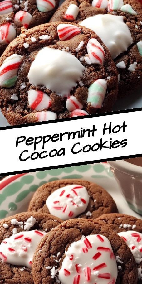 Hot Chocolate Peppermint Cookies: Indulge in the rich flavors of hot chocolate with a refreshing hint of peppermint in these delightful cookies. Perfect for fall evenings or holiday treats. #ChocolateLovers #PeppermintPerfect #HolidayBaking #CozyCookies #SweetTreats #FallFavorites Hot Chocolate Crinkle Cookies, Cake Mix Hot Cocoa Cookies, Hot Fudge Cookies, Hot Cocoa Peppermint Cookies, Peppermint Cake Mix Cookies, Peppermint Hot Cocoa Cookies, Peppermint Recipes Desserts, Hot Chocolate Peppermint, Christmas Bakes