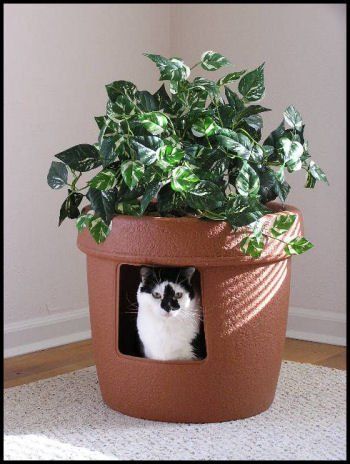 10 Ideas for Disguising or Hiding a Litter Box Apartment Therapy's Home Remedies | Apartment Therapy Litter Box Planter, Plant Litter Box, Diy Litter Box, Katt Grejer, Kat Diy, Chat Diy, Diy Cat Litter, Cat Box, Diy Cat