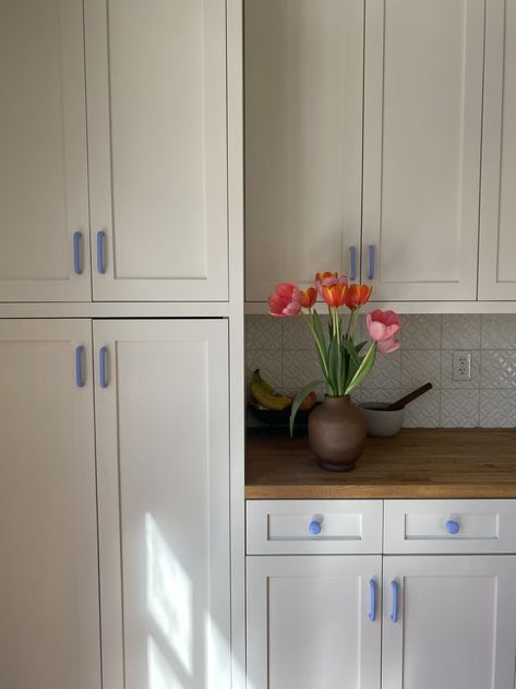 The Gallery - Backdrop Cornflower Blue Paint, Blue Kitchen Accents, Painting Doors, Blue Paint Color, Cabinetry Hardware, Chess Club, Interior Wall Paint, Cabinets Shelves, Organic Compounds