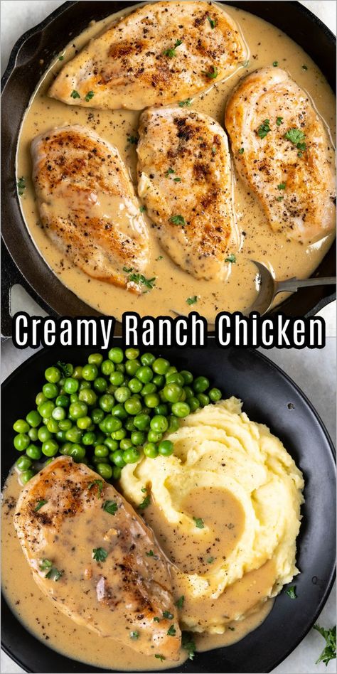 Chicken Breast Oven Recipes, Fried Chicken Breast Recipe, Creamy Ranch Chicken, Chicken Breast Oven, Pan Fried Chicken Breast, Chicken Boneless Breast Recipes, Baked Ranch Chicken, Delicious Family Dinners, Ranch Chicken Recipes