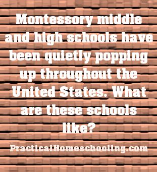 Montessori+High+-+Montessori+education+is+not+just+for+preschool+anymore. Montessori Middle School Activities, Montessori Middle School, Montessori High School, Middle School Activities, Montessori Elementary, Teaching Philosophy, High School Activities, Education Preschool, Montessori Homeschool