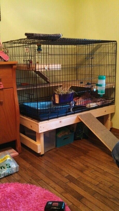 Bunny home Hedgehog Pet Cage, Diy Bunny Cage, Diy Guinea Pig Cage, Bunny Cage, Bunny Hutch, Bunny Room, Rat Cage, Indoor Rabbit, Rabbit Cages