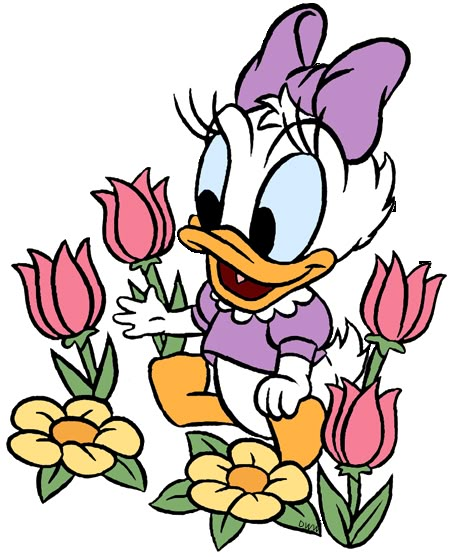 Daisy Duck Party, Pata Daisy, Mickey Mouse Classroom, Baby Disney Characters, Donald And Daisy, Duck Pictures, Disney Clipart, Baby Daisy, Disney Babies