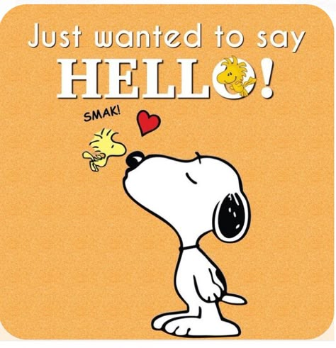 Just Wanted To Say Hello, Charlie Brown Quotes, Good Morning Snoopy, Happy Day Quotes, Funny Day Quotes, Snoopy Cartoon, Hug Quotes, Good Morning Sunshine Quotes, Snoopy Funny