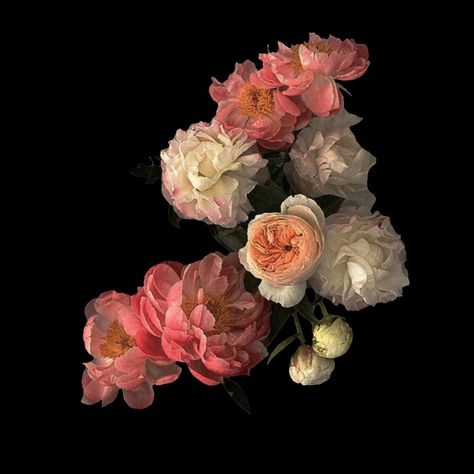 Flowers Black Background, Flower App, Scrapbook Printing, Png Aesthetic, Flower Icons, Overlays Picsart, Flower Art Images, Flower Therapy, Apple Watch Wallpaper