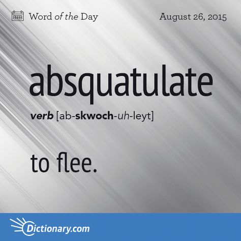 Absquatulate Word A Day, Fun Words, Interesting Words, Words Definitions, Unique Words Definitions, Uncommon Words, Word Nerd, Interesting English Words, Weird Words