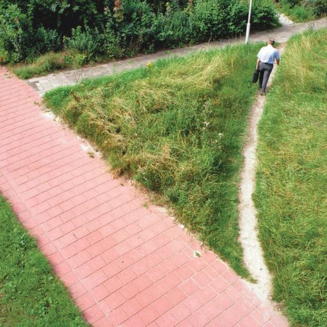 Always look for a shortcut. Desire Paths, Programming Humor, Concrete Path, Happy City, Urban Landscape Design, Landscape Design Plans, User Experience Design, Walk This Way, Experience Design