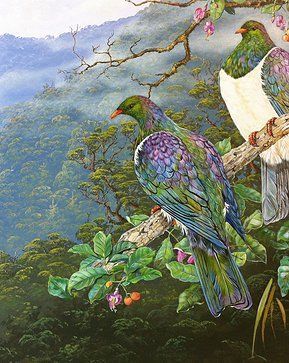 Kereru by Jeanette Blackburn New Zealand Wildlife, Nz Artists, Kiwi Artist, Rotorua New Zealand, Wood Pigeon, Wild Art, Nz Art, New Zealand Art, Deco Nature