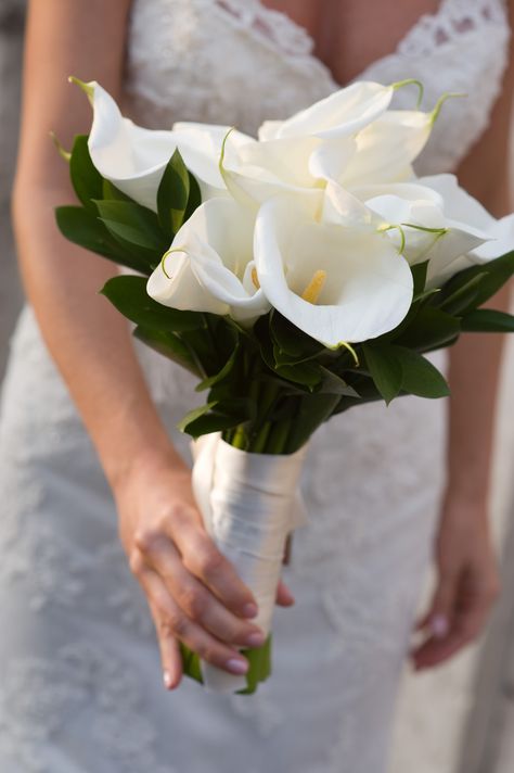 White calla lilies Cala Lily Bouquets, Calalilly Bouquet, White Calla Lily Bouquet, Calla Flower, Lily Centerpieces, Calla Lily Bridal Bouquet, Lily Bridal Bouquet, White Calla Lilies, Calla Lily Bouquet Wedding