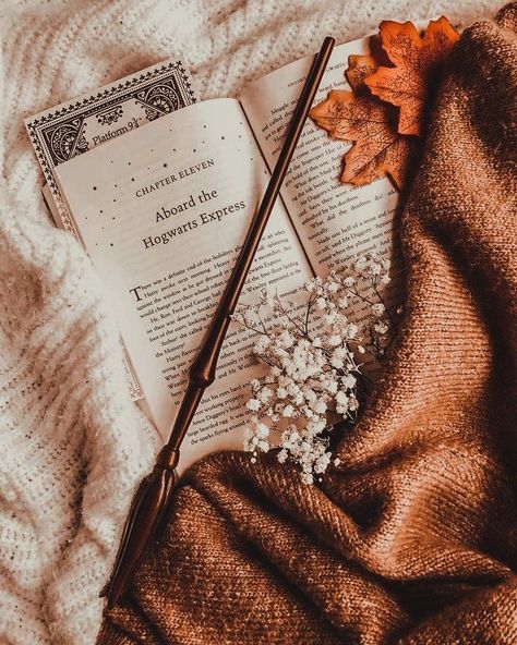 #cozy #autumn #fall #love #home #cozyhome #homedecor #interiordesign #interior #winter #hygge #fashion #handmade #cozyvibes #cute #comfy #design #coffee #decor #warm #style #homesweethome #autumnvibes #christmas #happy #halloween #instagood #sweaterweather #photography #bhfyp #books #reading Hufflepuff Aesthetic, Hogwarts Aesthetic, Harry Potter Wallpaper, Harry Potter Aesthetic, Light Academia, Autumn Aesthetic, Fall Aesthetic, Book Photography, Wizarding World