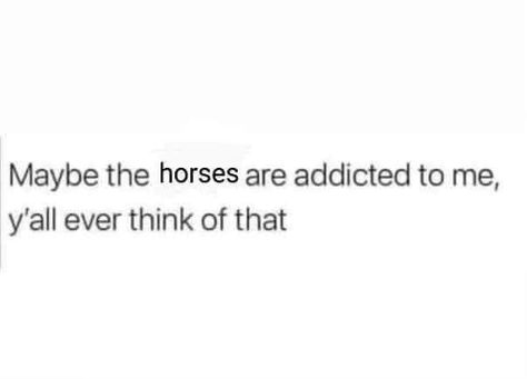 Funny Equestrian Quotes, Only Equestrians Will Understand, Horse Girl Problems, Horse Quotes Funny, Equestrian Quotes, Pony Tails, Cowgirl Quotes, Horse Memes, Horse Exercises