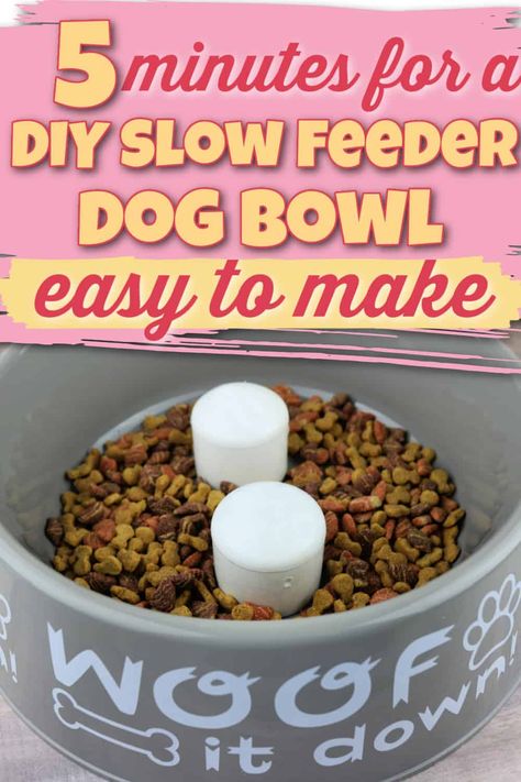 Dog Bowls Diy, Feeding Puppy, Dog Slow Feeder, Slow Feeder Dog, Puppy Diy, Elevated Dog Bowls, Puppy Bowls, Frozen Dog, Dog Water Bowls