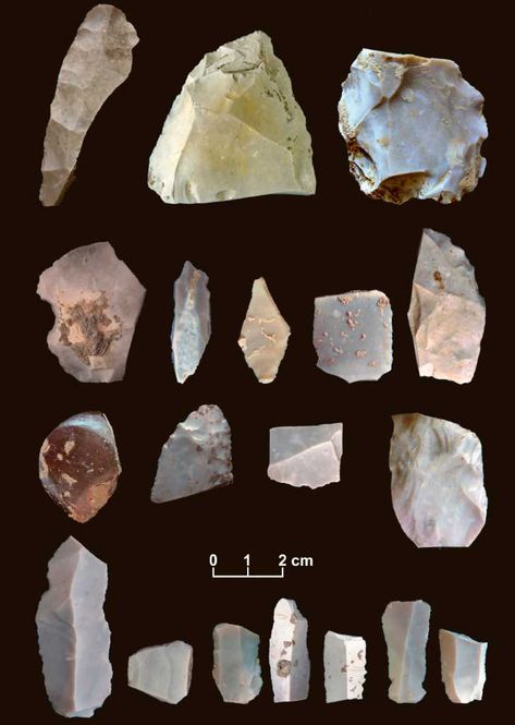 Texas scientists have found the oldest confirmed site of human habitation in the Americas just north of Austin, where the Edwards Plateau meets the coastal plains. Clovis People, Stone Age Tools, Paleo Indians, Native American Tools, Arrowheads Artifacts, Arrow Heads, Rocks And Fossils, Human Settlement, Indian Artifacts