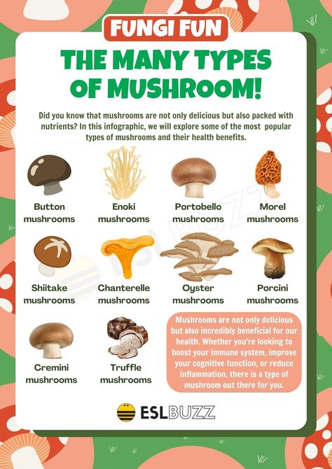 Mushroom Anatomy, Mushroom Project, Mushroom Types, Mushroom Names, Types Of Mushrooms, Dream Video, Morel Mushroom, Porcini Mushrooms, Science Classroom